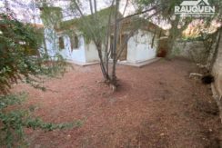 WhatsApp Image 2020-04-20 at 6.48.25 PM