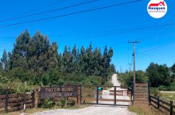 Parcela en venta en Puerto Varas con bosque nativo