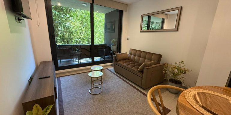 departamento-pucon-living